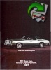 Chevrolet 1976 365.jpg
